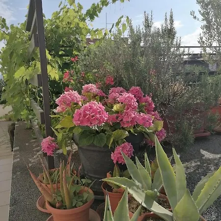 Lavanda Apartment *